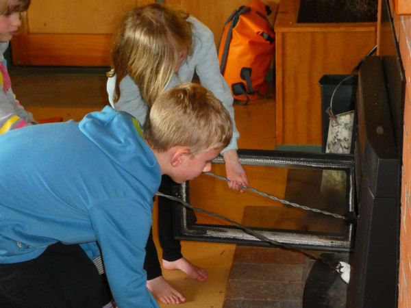 Childrens Bushcraft 0 14