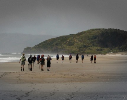 Te Arai Point, Te Araroa Walkway coastal section