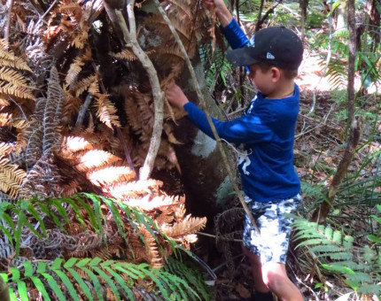 Building a bush shelter