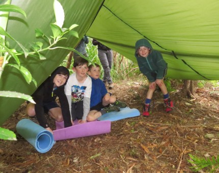 Erecting a tent fly shelter