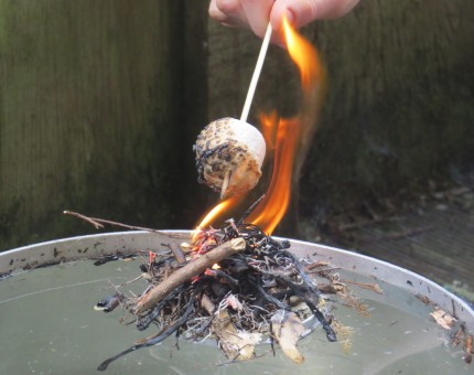 Toasting marshmellows