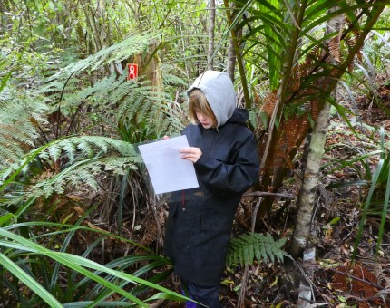 Out on the navigation course