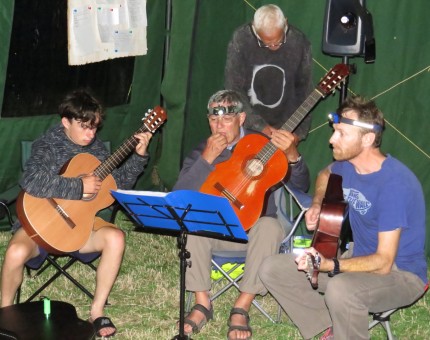 New Years Eve Musicians