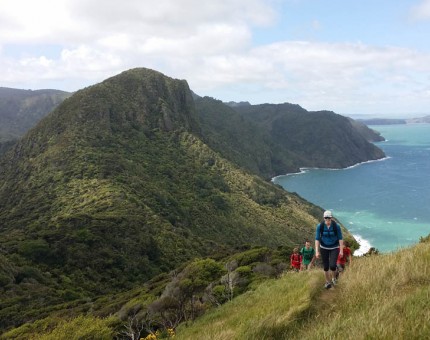 Omanawanui Track, Waitakere anges