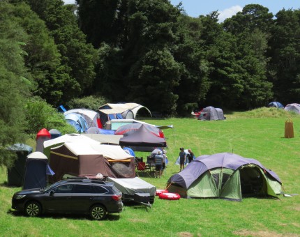 Part of the Campsite