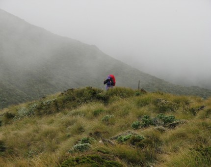 Daphne Range Ruahine Ranges