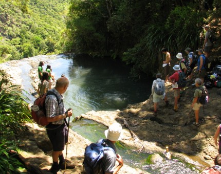 Day tramp Waitakere Ranges