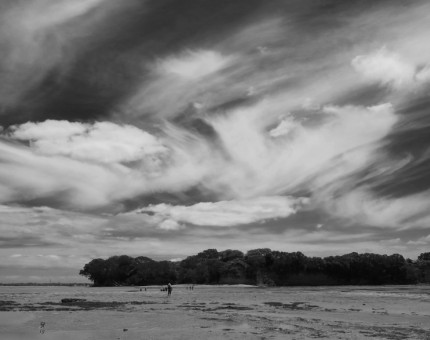 Motukaraka Island day trip, Beachlands