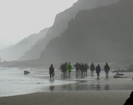 Kariotahi Beach