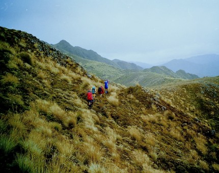 Heading for Ngapuketurua, North Kaimanawas